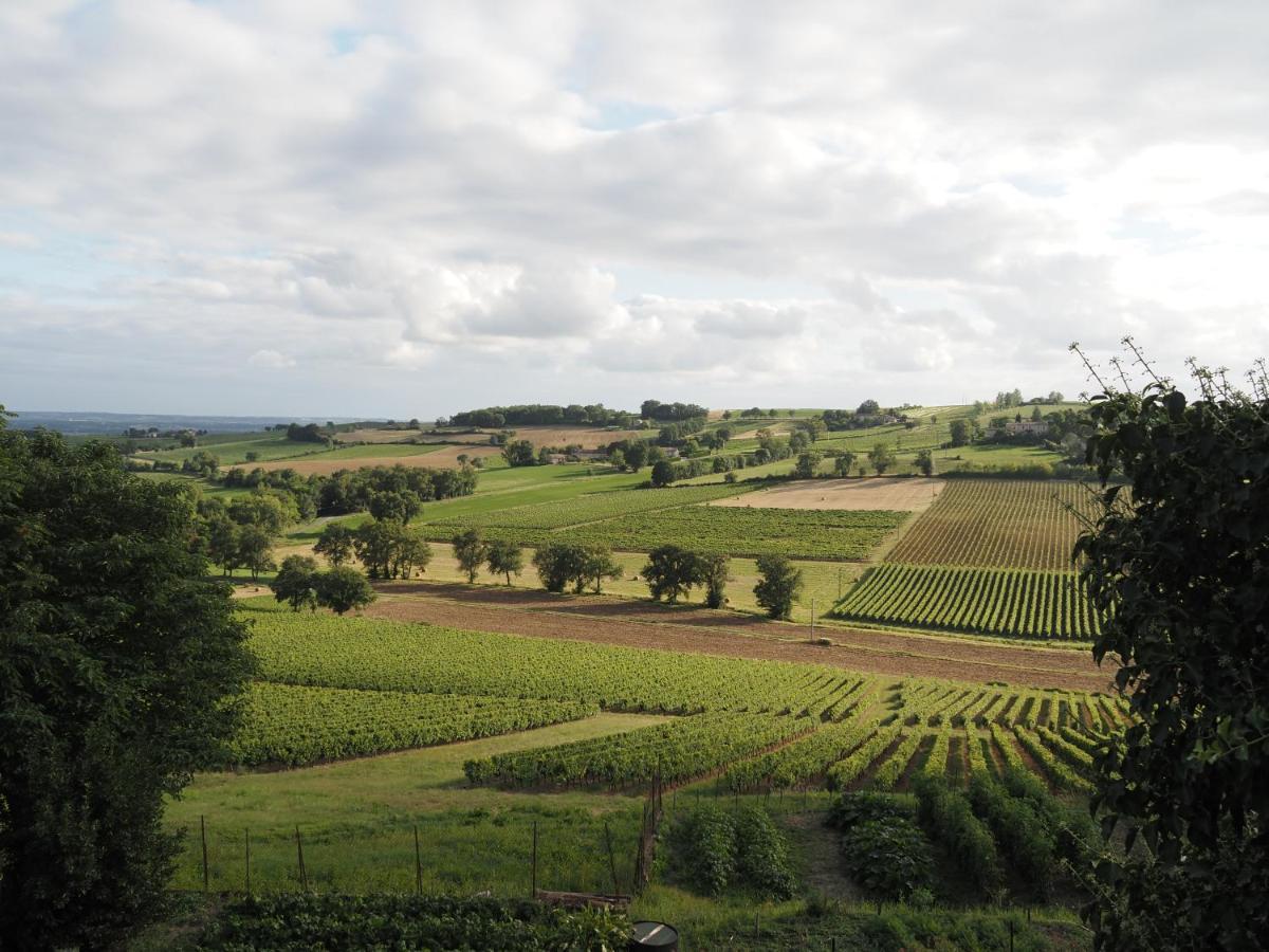 Le Mas de Doat, Gîte de Charme 4 étoiles dans le Triangle d Or proche Gaillac et Albi Senouillac Extérieur photo